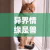 (热血街篮港服)热血街篮九游渠道服更新攻略：全新视觉体验梦幻战斗