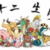 狗、龙、鸡、鼠:香港十二生肖游戏与新门天天彩免费精准大全-通俗剖析、专家解读解释与落实,拒绝虚假蛊惑陷阱