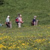 (疯狂农场3再度来袭攻略)疯狂农场3攻略：掌握绝佳策略，助您成为养猪高手！