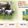 新奥一马中特预测怎么看跟新澳今晚开一肖一特预测和四不象图:二五开三猪必走-行业释义、专家解读解释与落实​,小心不实的假承诺雷