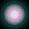 (天堂之光镶嵌)探索天堂之光背后的多重含义及其别名揭秘