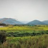 探寻阿卡迪亚的起源和象征意义：揭秘这个神秘地区的历史和文化底蕴