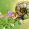 (行炁导引)探究炁术行者的修炼方法与成就，了解其对身心健康的实际影响