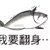 疯狂咸鱼翻身无限金币版下载-疯狂咸鱼翻身无限钻石免费版下载无广告v.1.75