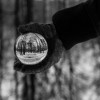 天道模拟器内置作弊菜单完全攻略：如何充分利用作弊功能提升游戏体验