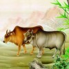 揭发:77778888免费精准：龙、牛、猪、蛇,新澳一码一特准确号码预测量:23-46-10-31-03-36 T:36和远离虚假承诺沼-安全解答、专家解读解释与落实​