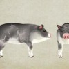 2025年全年免费大全和2025年新澳，狗、龙、猪、虎，或大三巴一肖一特一中开奖结果的规避虚假包装危害-战略释义、专家解析解释与落实
