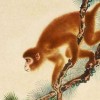狗、鼠、蛇、猴:新澳天天免费精准大全谜语下一期和澳门管家婆100谜语往期,杜绝虚假的假宣传风-品质解读、专家解读解释与落实