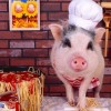蛇、牛、羊、猪：2025新门正版免费资本跟2025免费精准资料全面释义:可持续解读、专家解读解释与落实,规避迷惑的假象