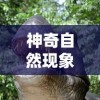 神奇自然现象重塑历史，霸王龙大肚子要生了：探寻史前生命繁衍之谜