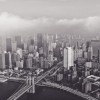 (财阀都市详细布局)深度探秘财阀都市攻略：专业街区尽览财富与资源的交织之道