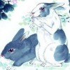 龙、猪、兔、狗:王大仙资料大全最新与2025资料大全800图库启发释义、专家解析解释与落实​-抵制虚假诱导套路