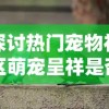 探讨热门宠物社区萌宠呈祥是否进行品牌改名，和新名称可能带来的影响及变化