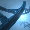 《进化》游戏：探索不同生物的进化之旅，挑战自己的极限和智慧。