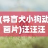 (导盲犬小狗动画片)汪汪汪奇迹再现：细数历年全球导盲犬逆袭故事中的感人时刻