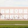 探秘星空联盟成员航空公司：联手打造全球航空交通网络的跨国盛宴