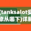 (tanksalot安卓从哪下)详解如何在安卓平台下载并安装热门游戏TanksALot：一站式操作指南