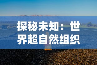 探索盛世三国2的游戏可玩性：现在的版本是否值得玩家体验和投入时间？