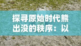 探寻原始时代熊出没的秩序：以生态环境变迁角度解析熊类动物的生活习性与生存挑战