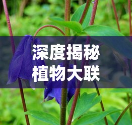 (斗剑仙开服时间)深入分析斗剑仙各职业特色，找寻最符合你游戏风格的理想选择