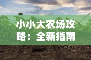 小小大农场攻略：全新指南教你如何优化农田布局、提升作物产量