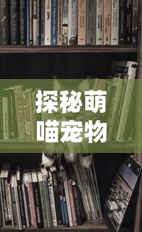 (上古王冠值得玩吗)上古王冠0.1折疯抢中：仅一次的战力提升机会，错过将再无低价