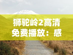 详解天道问情内置GM参数设置方法：以性能优化和交互功能提升为核心探究