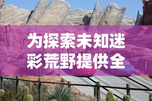 014985cσm查询澳彩资料|实地分析解释落实_现实版.9.23