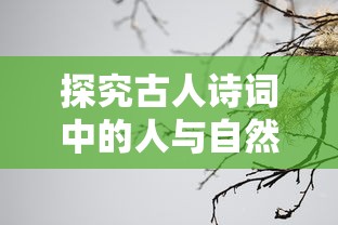 深度解析：微信传世奇迹全攻略流程详解，从新手到熟练的转变如何一步步实现