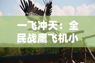 一飞冲天：全民战鹰飞机小游戏引领空战新潮流，体验不一样的激情刺激