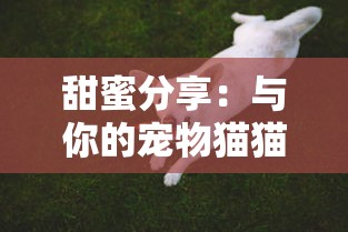 (罗泽希尔常驻职业)探索罗泽希尔的转职路线:如何选择最适合你的职业发展之道 (罗泽希尔常驻职业)探索罗泽希尔的转职路线:如何选择最适合你的职业发展之道
