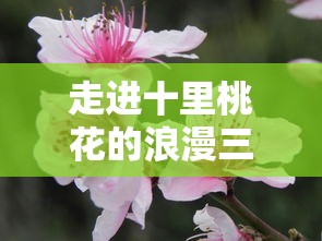 走进十里桃花的浪漫三生三世,揭秘古代人文情感与自然环境的完美交融 走进十里桃花的浪漫三生三世,揭秘古代人文情感与自然环境的完美交融