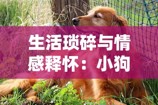 生活琐碎与情感释怀:小狗咖啡馆安静书写独特的人文情怀与现代潮流融合 生活琐碎与情感释怀:小狗咖啡馆安静书写独特的人文情怀与现代潮流融合