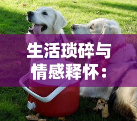 探讨和解析时空旅法师脚本背后的哲学深度和人性挣扎：对脱离现实穿梭时空之困惑的独特表达