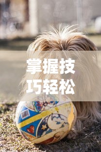 掌握技巧轻松捕获宠物：详细讲解《无双战纪》游戏宠物捕获过程与方法