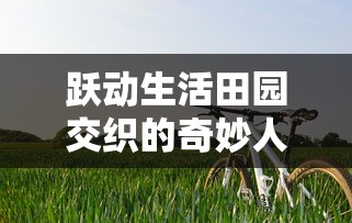 10669澳彩查询|定量分析解释落实_跨界版.7.766