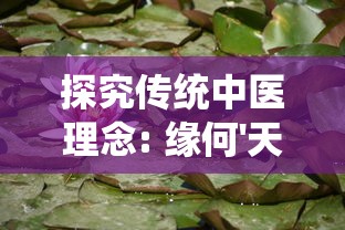 探秘赤月屠龙官方网站：给玩家带来沉浸式角色扮演体验与神秘龙族文化