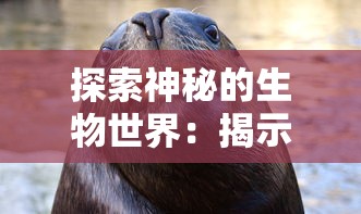 探索神秘的生物世界：揭示‘狗反子’究竟是什么动物及其在生态学中的重要作用