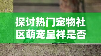 探讨热门宠物社区萌宠呈祥是否进行品牌改名，和新名称可能带来的影响及变化