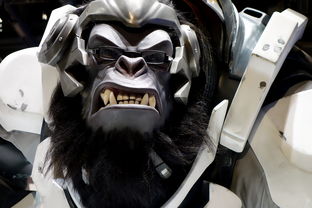 (搜索绿茶)探索绿茶软件园：发现创新科技的魅力，探寻未来世界的可能性