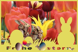 (开心部落下载安卓版)开心部落是否仍存在?网友们依然记忆犹新 (开心部落下载安卓版)开心部落是否仍存在?网友们依然记忆犹新