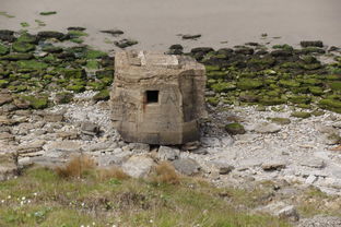 围攻熱土:丛林战役3v3小游戏的策略选择与团队合作方法深度解析 围攻熱土:丛林战役3v3小游戏的策略选择与团队合作方法深度解析