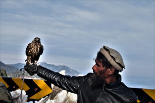 暮影战神手游官方网站:探索神秘的战斗世界,挑战最强战神力量! 暮影战神手游官方网站:探索神秘的战斗世界,挑战最强战神力量!