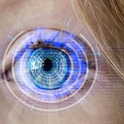 (如何做鹅卵石)如何制作美观耐用的鹅卵石?深入了解鹅卵石制作过程! (如何做鹅卵石)如何制作美观耐用的鹅卵石?深入了解鹅卵石制作过程!