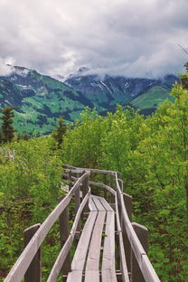 (云南独龙江旅游攻略)探寻神秘之境：云南独龙江风景区深度游