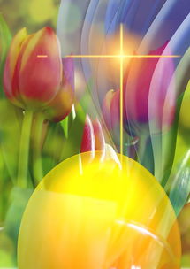 二四六天好彩天空彩票|正确解答落实_苹果.8.138