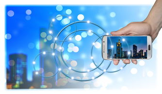 探索与揭秘：'大黑龙'究竟是何含义?一场关于中国传统文化和地理名词的深度解析