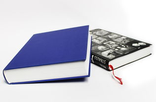 余烬风暴刺客和游侠：哪个职业适合你？比较分析，助你做出最佳选择