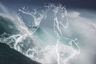 (万神龙尊)探秘龙神万相神战阵容:打造最强阵容,征战神殿无敌! (万神龙尊)探秘龙神万相神战阵容:打造最强阵容,征战神殿无敌!