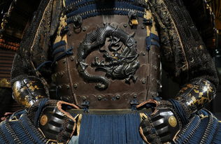 (斗龙战士之斗龙)探秘斗龙战士1：神秘的龙之力，古代战士的传奇冒险之旅